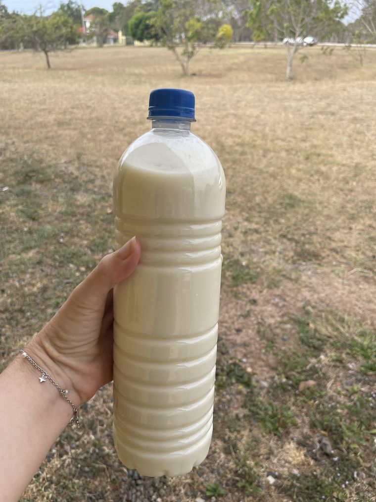 La polémica en torno a la leche de vaca empezó a partir de una publicación en Twitter Foto: Twitter: @UrsulaKiener