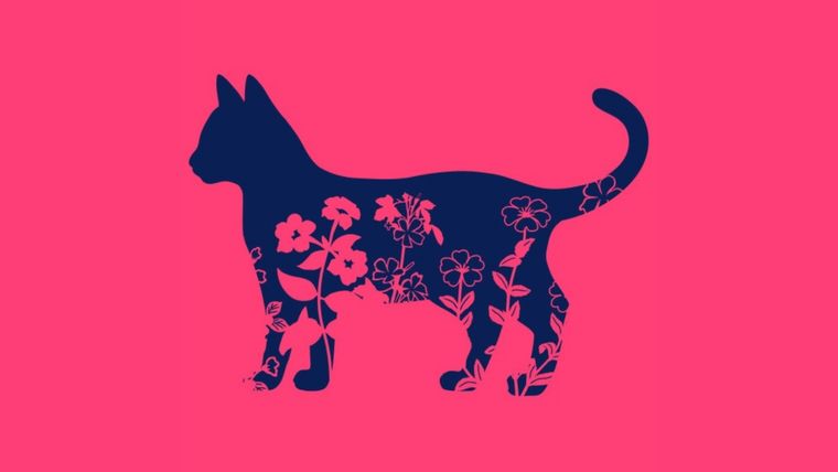 Test de personalidad