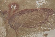 Hay dos manos pintadas sobre el cerdo. Foto: MAXIME AUBERT