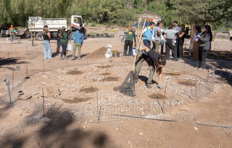 Plantación de árboles en el Ecoparque Plantación de árboles en el Ecoparque