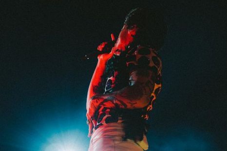 Harry Styles En Los Angeles Foto: Fuente: Imagen / Lloyd Wakefield
