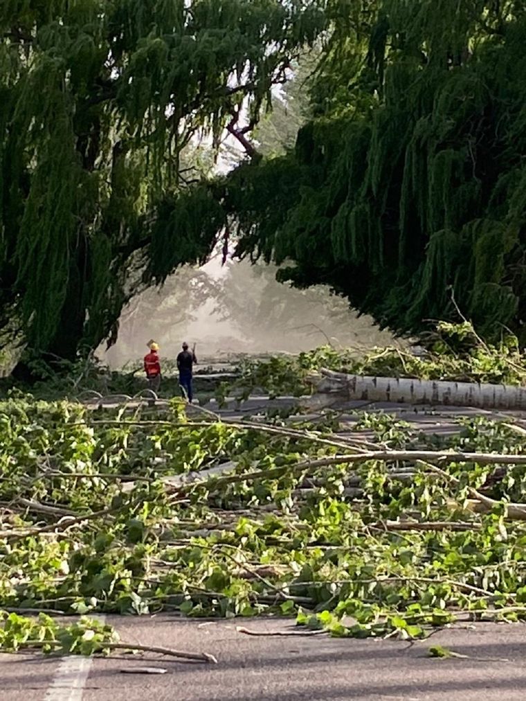 Así se encontraba San Carlos este viernes por el Zonda