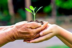 ¿como llevar una vida sustentable en la ciudad?