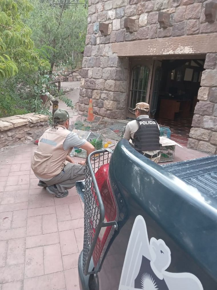 El traslado de las aves. Foto: Gobierno de Mendoza.