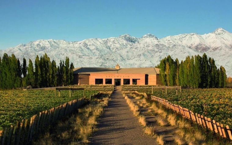 Mendoza, una de las principales provincias enoturísticas del país Foto: Archivo MDZ