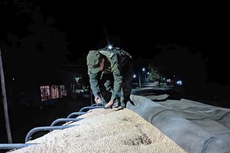 Oficial de Gendarmería requisa el camión que transportaba legumbres ilegalmente. Foto: Gendarmería Nacional