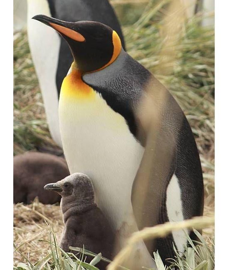 https://www.bbc.com/mundo/articles/cx25yexnw7eo