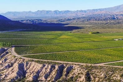 MDZol | Foto: Gentileza