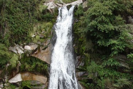 Foto: Web