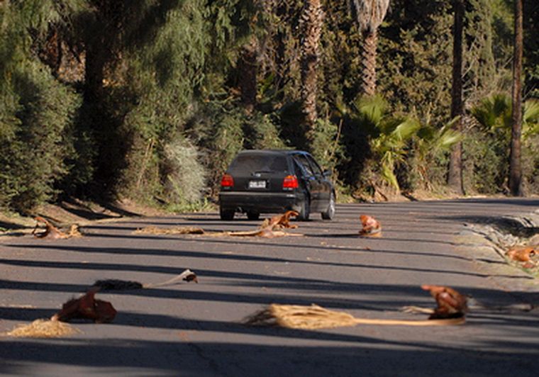 El zonda se está haciendo notar en el llano. Foto: Nacho Gaffuri / MDZ
