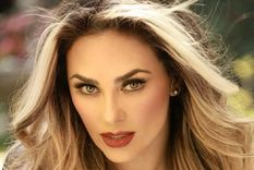 Aracely Arámbula tuvo dos hijos con el cantante mexicano Luis Miguel. Foto: Instagram