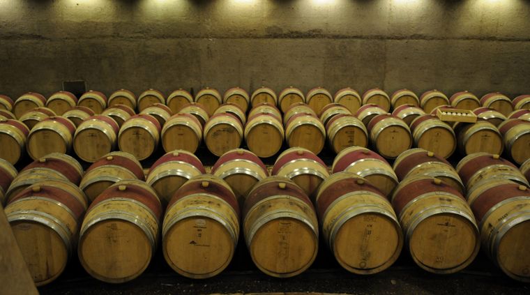 Para Bodegas de Argentina, la desregulación de la vitivinicultura sirve para competir en el mundo.