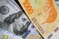 Los analistas advierten que no hay suficientes dólares para hacer frente a la fuga de capitales. Foto: ALF PONCE MERCADO / MDZ