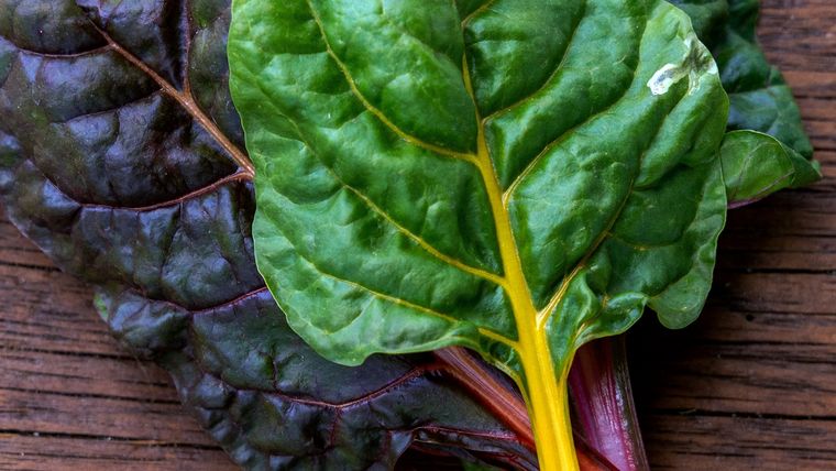 La gama de colores que presenta la acelga realmente puede alegrar cualquier espacio de cultivo. Foto: pexels.com