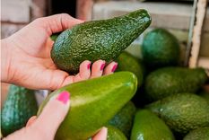 Desde fertilizante a semillero: cómo usar la cáscara de palta. Foto: Hogarmanía