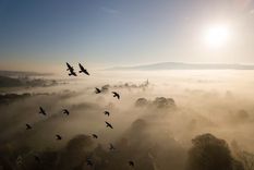 Ganador categoría Hábitat, Rick Bunce Foto: British Wildlife Photography Awards