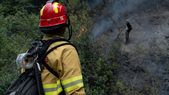 El viento complica el combate del incendio en el Parque Nacional Los Alerces, El viento complica el combate del incendio en el Parque Nacional Los Alerces,