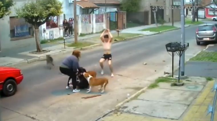 Un héroe anónimo frenó el ataque de tres perros pitbull. Foto: Captura de pantalla
