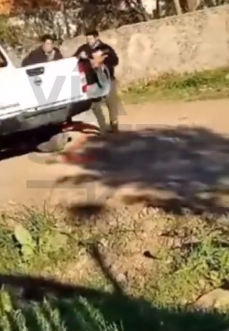 Vecinos ataron a un ladrón y lo arrojaron en el móvil policial Foto: Captura de pantalla