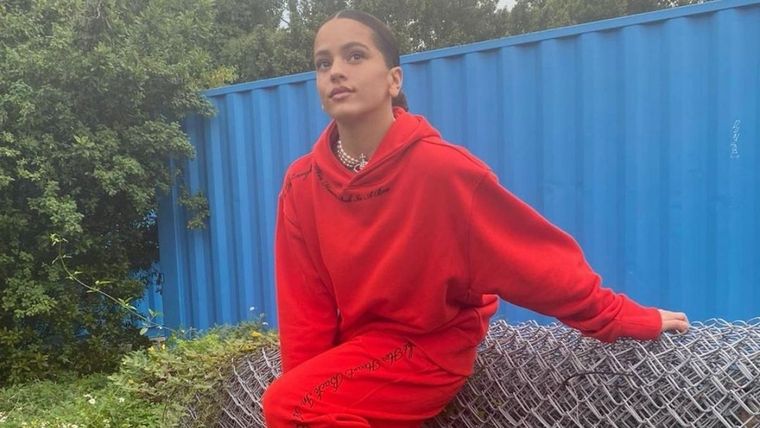 Rosalía, redes sociales