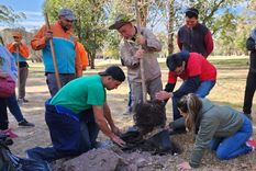 Cultura del árbol Plantación de árboles la Fundación Carmela Fassi, de inserción socio-laboral para jóvenes con discapacidad intelectual. Foto: Prensa Gobierno de Mendoza