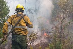Los incendios forestales dejan desolación en el mundo. Foto: NA