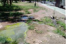 Foto: ALF PONCE MERCADO / MDZ Foto: ALF PONCE MERCADO / MDZ