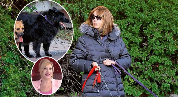 NO SE LA VE. LA FOTO ES DE 2019: ESA FUE UNA DE LAS ULTIMAS VECES QUE SE LA VIO A ASCAR.