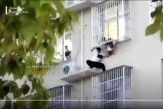 Foto: Captura de pantalla