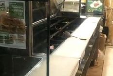 la rata por la que cerro una popular sangucheria en santiago