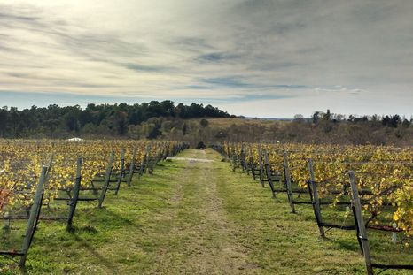 Athos Pampa es un pueblo serrano donde los caminos de ripio y el paisaje verde forman una de las escenas más tranquilas de Calamuchita. Athos Pampa es un pueblo serrano donde los caminos de ripio y el paisaje verde forman una de las escenas más tranquilas de Calamuchita.