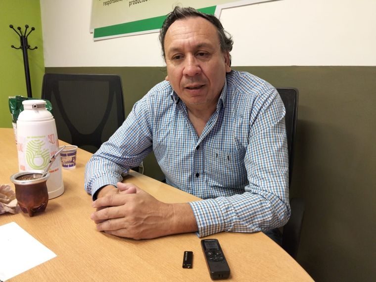 Ricardo Maciel, director del Instituto Nacional de la Yerba Mate (INYM) por la provincia de Misiones asegura que hoy el productor recibe unos 240 pesos por kilo de hoja verde, mientras que hace un año y medio cobraba 400 pesos.