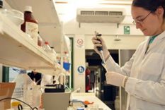 Es necesario celebrar un día internacional de la mujer y la niña en la ciencia. Foto: MDZ