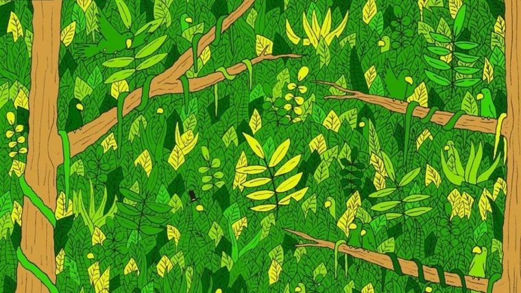 Acertijo visual, reto visual, serpiente Pinterest Foto: Pinterest