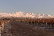 Las heladas se registrarán en gran parte del territorio Foto: Oyente MDZ Radio