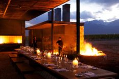 Foto: Gentileza The Vines