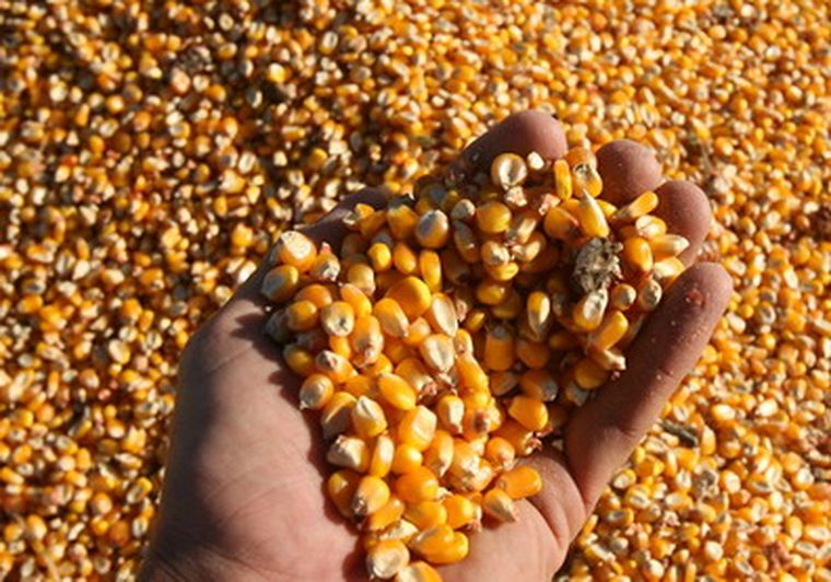 La caída en el precio de las materias primas es uno de los factores. Foto: efe