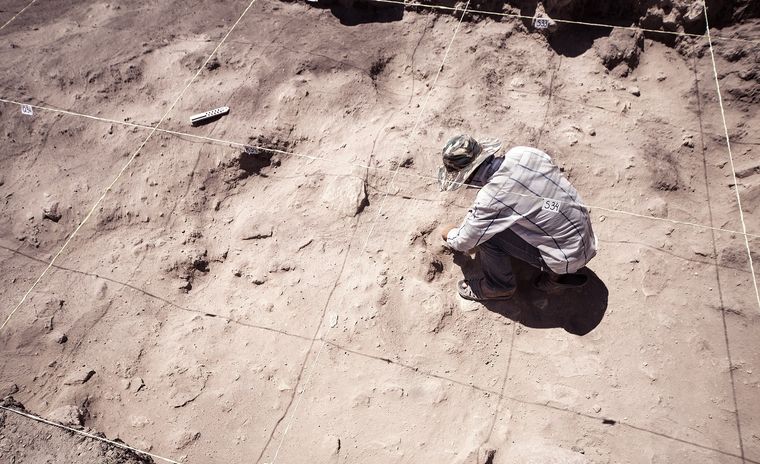 El hallazgo posee casi 2.000 años de antigüedad Foto: Shutterstock