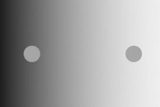 Ilusión óptica: ¿iguales o diferentes? el misterio que tardó 100 años en resolverse