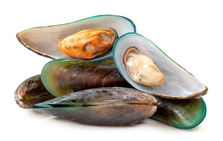 Mejillones Foto: shutterstock