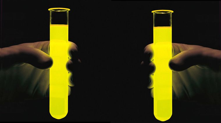 Foto: ojocientifico.com