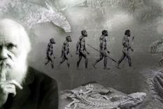 Teoría de la evolución de Darwin: por qué es incorrecto decir que descendemos de los monos y otras 4 cosas que quizás no sabías sobre nuestro origen