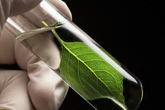 fotosintesis artificial: la tecnologia que puede revertir la crisis climatica