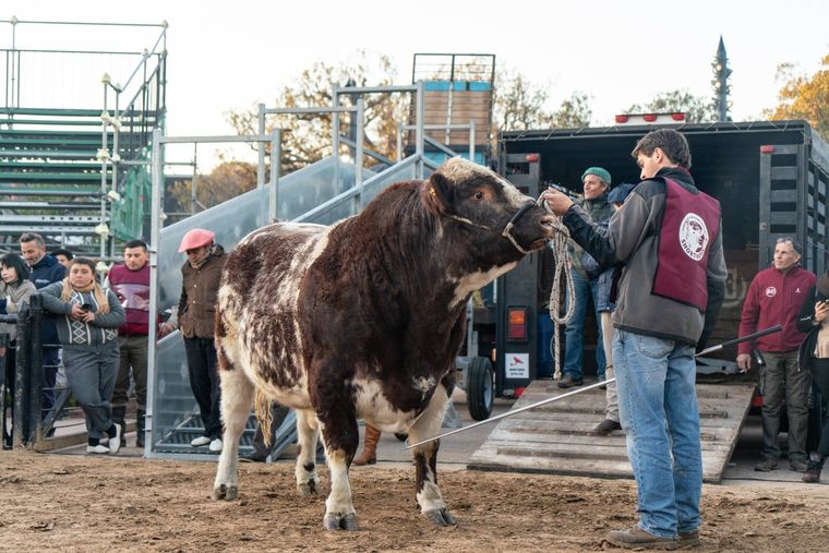 Los precandidatos a presidente dirán presente en La Rural Foto: Sociedad Rural Argentina