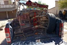 También secuestraron jaulas y tramperos También secuestraron jaulas y tramperos