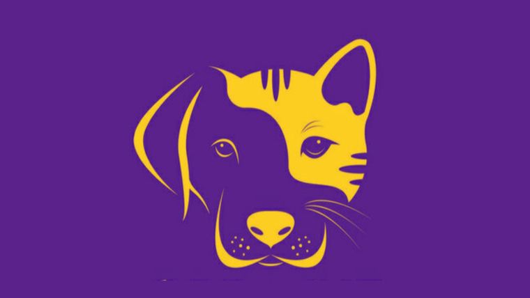 Test de personalidad