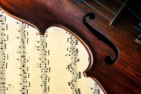 El jardín necesita música clásica. Fuente: Freepik. El jardín necesita música clásica. Fuente: Freepik.