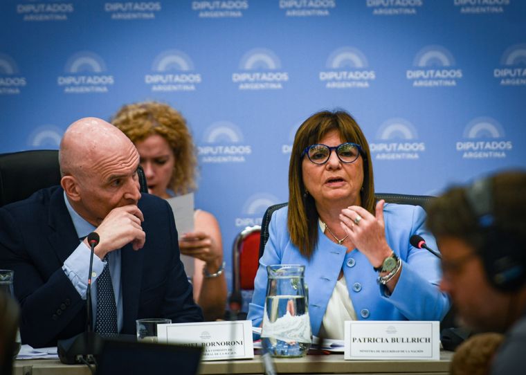 Bullrich fuertemente cuestionada por una diputada oficialista Foto: Telam
