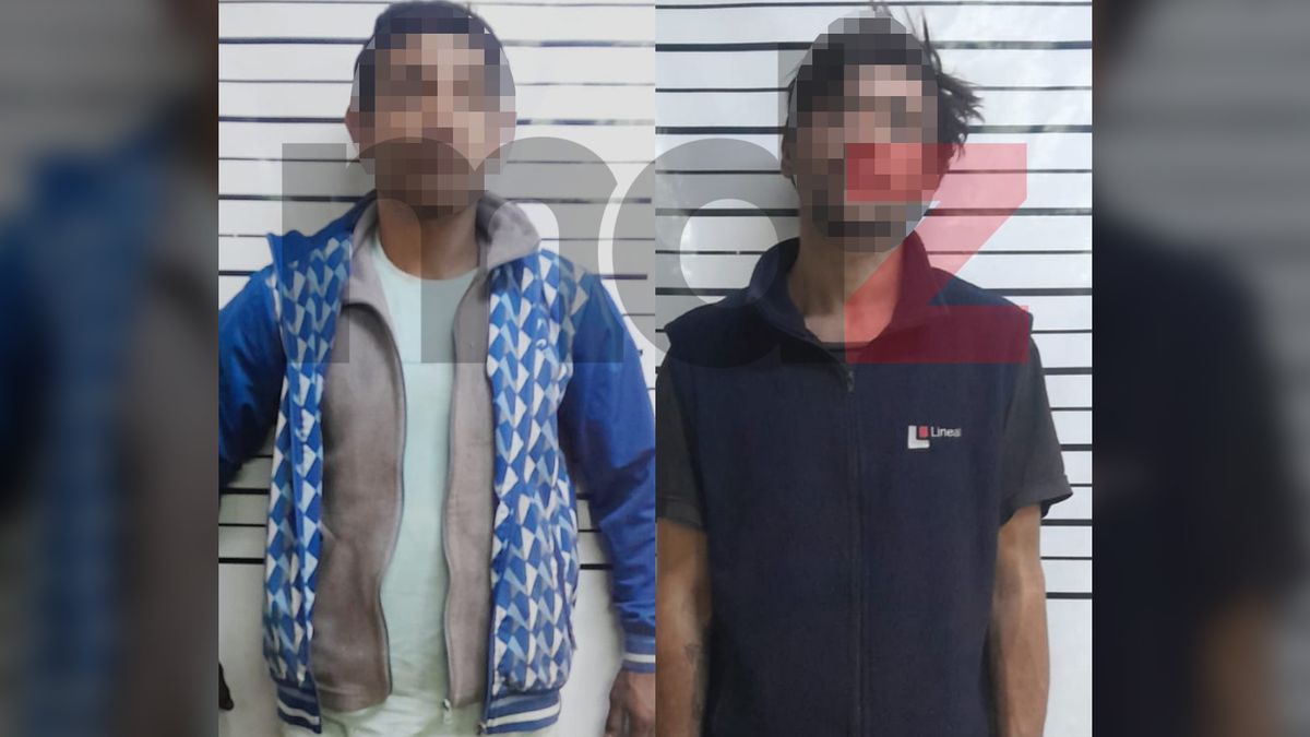 Sorprendieron a dos ladrones 