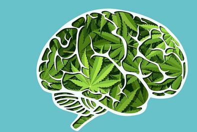 MDZol | El cannabis tiene efectos en los procesos cognitivos. Foto: GETTY IMAGES